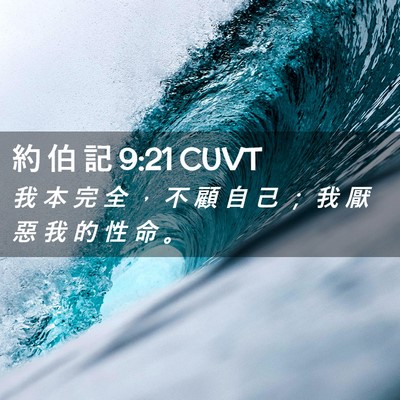 Picture 02 - 約 伯 記 9:21 CUVT - 我 本 完 全 ， 不 顧 自 己 ； 我 厭 - Bible Verse Picture
