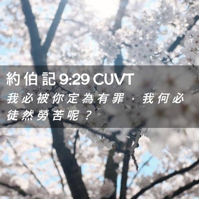 Picture 02 - 約 伯 記 9:29 CUVT - 我 必 被 你 定 為 有 罪 ， 我 何 必 - Bible Verse Picture