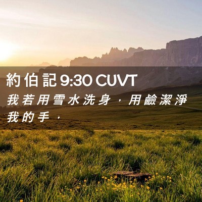 Picture 02 - 約 伯 記 9:30 CUVT - 我 若 用 雪 水 洗 身 ， 用 鹼 潔 淨 - Bible Verse Picture