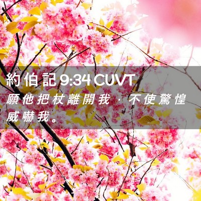 Picture 02 - 約 伯 記 9:34 CUVT - 願 他 把 杖 離 開 我 ， 不 使 驚 惶 - Bible Verse Picture