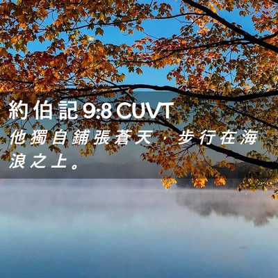 Picture 02 - 約 伯 記 9:8 CUVT - 他 獨 自 鋪 張 蒼 天 ， 步 行 在 海 - Bible Verse Picture