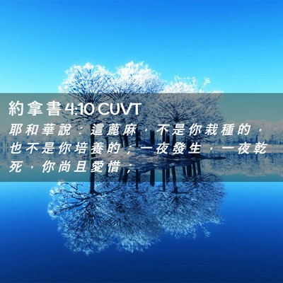 Picture 02 - 約 拿 書 4:10 CUVT - 耶 和 華 說 ： 這 蓖 麻 ， 不 是 你 - Bible Verse Picture