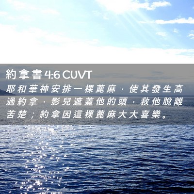 Picture 02 - 約 拿 書 4:6 CUVT - 耶 和 華 神 安 排 一 棵 蓖 麻 ， 使 - Bible Verse Picture