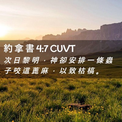 Picture 02 - 約 拿 書 4:7 CUVT - 次 日 黎 明 ， 神 卻 安 排 一 條 蟲 - Bible Verse Picture
