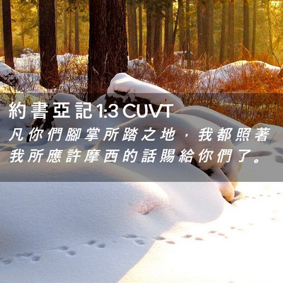 Picture 02 - 約 書 亞 記 1:3 CUVT - 凡 你 們 腳 掌 所 踏 之 地 ， 我 都 - Bible Verse Picture