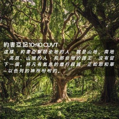 Picture 02 - 約 書 亞 記 10:40 CUVT - 這 樣 ， 約 書 亞 擊 殺 全 地 的 人 - Bible Verse Picture
