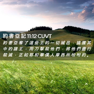 Picture 02 - 約 書 亞 記 11:12 CUVT - 約 書 亞 奪 了 這 些 王 的 一 切 城 - Bible Verse Picture