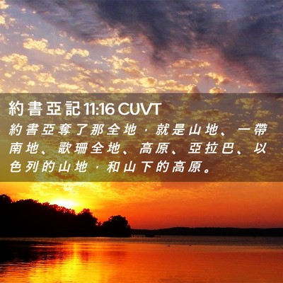 Picture 02 - 約 書 亞 記 11:16 CUVT - 約 書 亞 奪 了 那 全 地 ， 就 是 山 - Bible Verse Picture