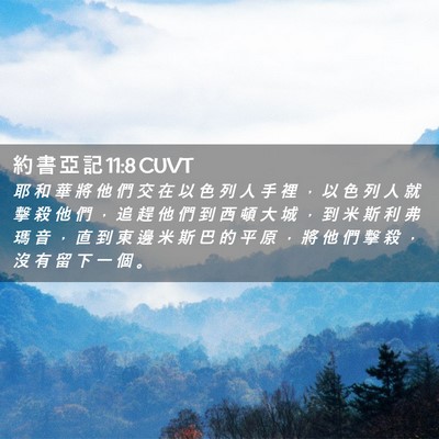 Picture 02 - 約 書 亞 記 11:8 CUVT - 耶 和 華 將 他 們 交 在 以 色 列 人 - Bible Verse Picture