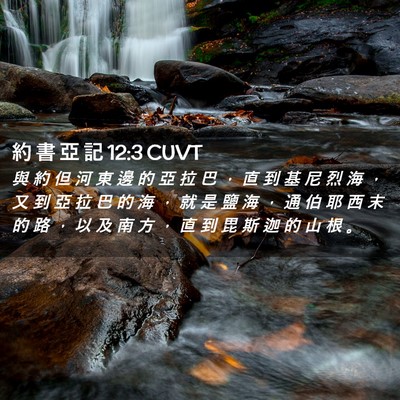 Picture 02 - 約 書 亞 記 12:3 CUVT - 與 約 但 河 東 邊 的 亞 拉 巴 ， 直 - Bible Verse Picture