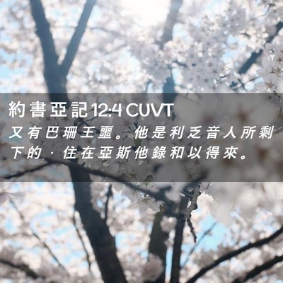 Picture 02 - 約 書 亞 記 12:4 CUVT - 又 有 巴 珊 王 噩 。 他 是 利 乏 音 - Bible Verse Picture