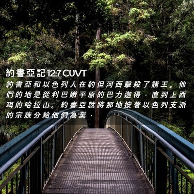 Picture 02 - 約 書 亞 記 12:7 CUVT - 約 書 亞 和 以 色 列 人 在 約 但 河 - Bible Verse Picture