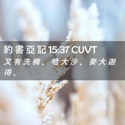 Picture 02 - 約 書 亞 記 15:37 CUVT - 又 有 洗 楠 、 哈 大 沙 、 麥 大 迦 - Bible Verse Picture