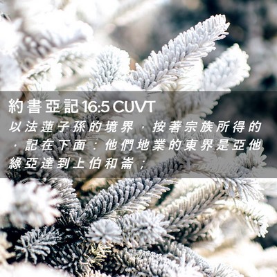 Picture 02 - 約 書 亞 記 16:5 CUVT - 以 法 蓮 子 孫 的 境 界 ， 按 著 宗 - Bible Verse Picture