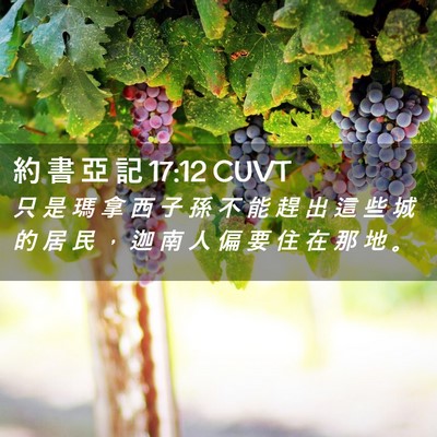 Picture 02 - 約 書 亞 記 17:12 CUVT - 只 是 瑪 拿 西 子 孫 不 能 趕 出 這 - Bible Verse Picture