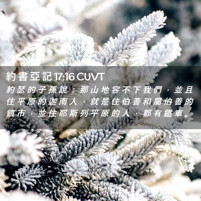 Picture 02 - 約 書 亞 記 17:16 CUVT - 約 瑟 的 子 孫 說 ： 那 山 地 容 不 - Bible Verse Picture