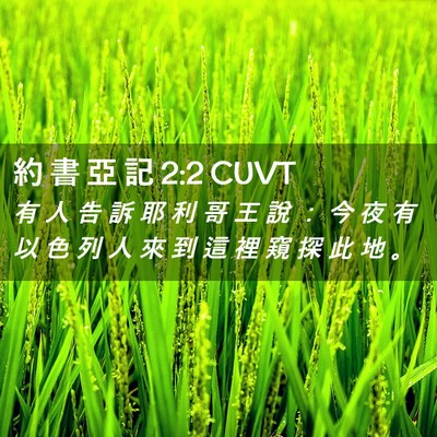 Picture 02 - 約 書 亞 記 2:2 CUVT - 有 人 告 訴 耶 利 哥 王 說 ： 今 夜 - Bible Verse Picture