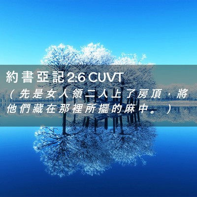 Picture 02 - 約 書 亞 記 2:6 CUVT - （ 先 是 女 人 領 二 人 上 了 房 頂 - Bible Verse Picture