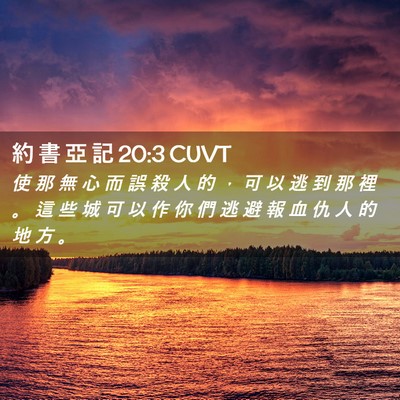 Picture 02 - 約 書 亞 記 20:3 CUVT - 使 那 無 心 而 誤 殺 人 的 ， 可 以 - Bible Verse Picture