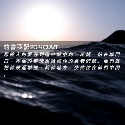Picture 02 - 約 書 亞 記 20:4 CUVT - 那 殺 人 的 要 逃 到 這 些 城 中 的 - Bible Verse Picture