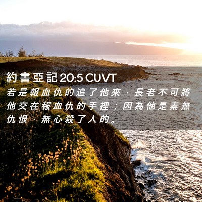 Picture 02 - 約 書 亞 記 20:5 CUVT - 若 是 報 血 仇 的 追 了 他 來 ， 長 - Bible Verse Picture