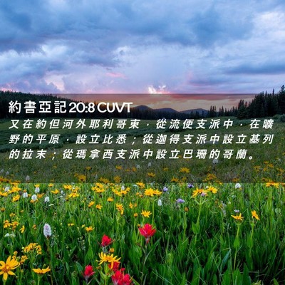 Picture 02 - 約 書 亞 記 20:8 CUVT - 又 在 約 但 河 外 耶 利 哥 東 ， 從 - Bible Verse Picture
