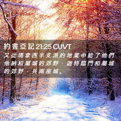 Picture 02 - 約 書 亞 記 21:25 CUVT - 又 從 瑪 拿 西 半 支 派 的 地 業 中 - Bible Verse Picture