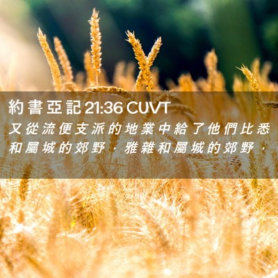 Picture 02 - 約 書 亞 記 21:36 CUVT - 又 從 流 便 支 派 的 地 業 中 給 了 - Bible Verse Picture