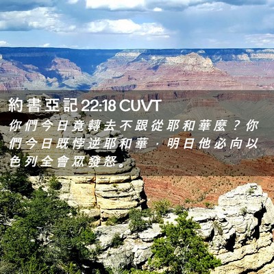 Picture 02 - 約 書 亞 記 22:18 CUVT - 你 們 今 日 竟 轉 去 不 跟 從 耶 和 - Bible Verse Picture
