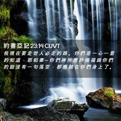 Picture 02 - 約 書 亞 記 23:14 CUVT - 我 現 在 要 走 世 人 必 走 的 路 。 - Bible Verse Picture