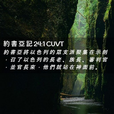 Picture 02 - 約 書 亞 記 24:1 CUVT - 約 書 亞 將 以 色 列 的 眾 支 派 聚 - Bible Verse Picture