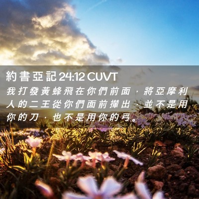 Picture 02 - 約 書 亞 記 24:12 CUVT - 我 打 發 黃 蜂 飛 在 你 們 前 面 ， - Bible Verse Picture