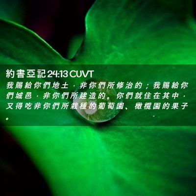 Picture 02 - 約 書 亞 記 24:13 CUVT - 我 賜 給 你 們 地 土 ， 非 你 們 所 - Bible Verse Picture