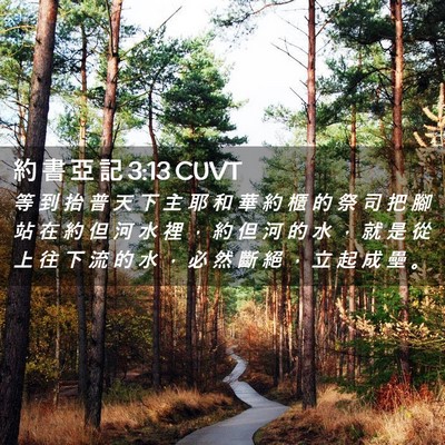 Picture 02 - 約 書 亞 記 3:13 CUVT - 等 到 抬 普 天 下 主 耶 和 華 約 櫃 - Bible Verse Picture