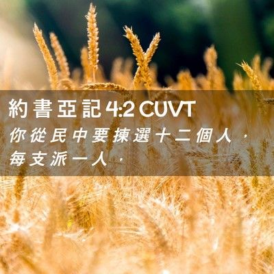 Picture 02 - 約 書 亞 記 4:2 CUVT - 你 從 民 中 要 揀 選 十 二 個 人 ， - Bible Verse Picture