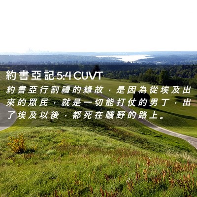 Picture 02 - 約 書 亞 記 5:4 CUVT - 約 書 亞 行 割 禮 的 緣 故 ， 是 因 - Bible Verse Picture