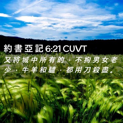 Picture 02 - 約 書 亞 記 6:21 CUVT - 又 將 城 中 所 有 的 ， 不 拘 男 女 - Bible Verse Picture
