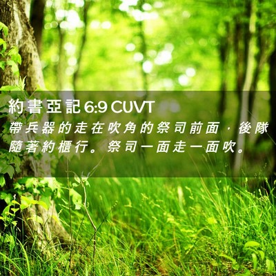 Picture 02 - 約 書 亞 記 6:9 CUVT - 帶 兵 器 的 走 在 吹 角 的 祭 司 前 - Bible Verse Picture