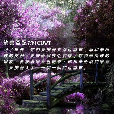 Picture 02 - 約 書 亞 記 7:14 CUVT - 到 了 早 晨 ， 你 們 要 按 著 支 派 - Bible Verse Picture