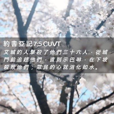 Picture 02 - 約 書 亞 記 7:5 CUVT - 艾 城 的 人 擊 殺 了 他 們 三 十 六 - Bible Verse Picture