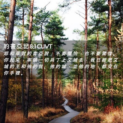 Picture 02 - 約 書 亞 記 8:1 CUVT - 耶 和 華 對 約 書 亞 說 ： 不 要 懼 - Bible Verse Picture