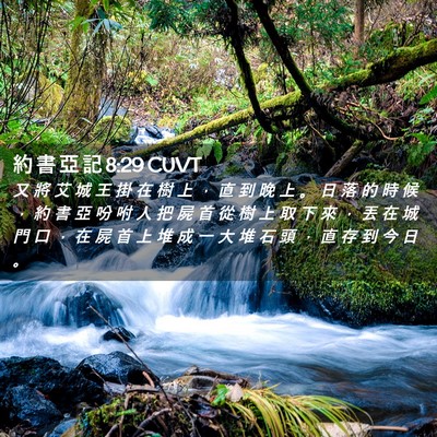 Picture 02 - 約 書 亞 記 8:29 CUVT - 又 將 艾 城 王 掛 在 樹 上 ， 直 到 - Bible Verse Picture