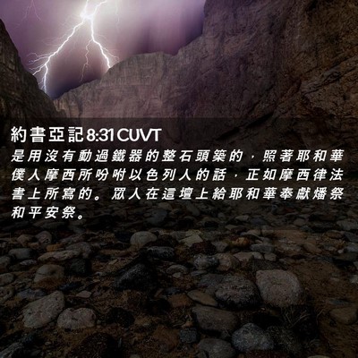 Picture 02 - 約 書 亞 記 8:31 CUVT - 是 用 沒 有 動 過 鐵 器 的 整 石 頭 - Bible Verse Picture