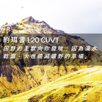 Picture 02 - 約 珥 書 1:20 CUVT - 田 野 的 走 獸 向 你 發 喘 ； 因 為 - Bible Verse Picture