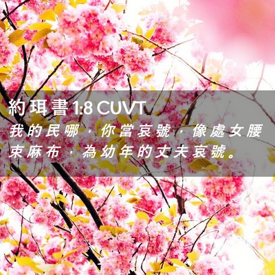 Picture 02 - 約 珥 書 1:8 CUVT - 我 的 民 哪 ， 你 當 哀 號 ， 像 處 - Bible Verse Picture