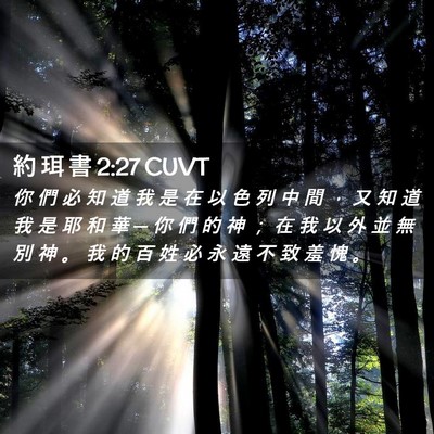 Picture 02 - 約 珥 書 2:27 CUVT - 你 們 必 知 道 我 是 在 以 色 列 中 - Bible Verse Picture