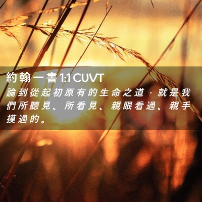 Picture 02 - 約 翰 一 書 1:1 CUVT - 論 到 從 起 初 原 有 的 生 命 之 道 - Bible Verse Picture