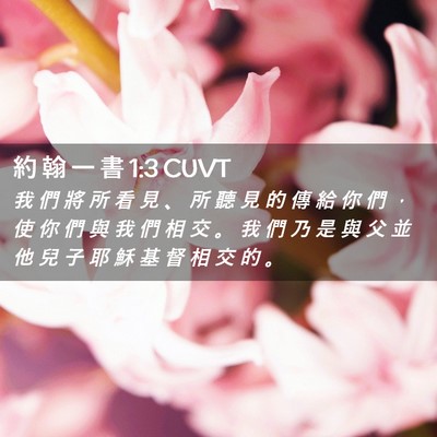 Picture 02 - 約 翰 一 書 1:3 CUVT - 我 們 將 所 看 見 、 所 聽 見 的 傳 - Bible Verse Picture