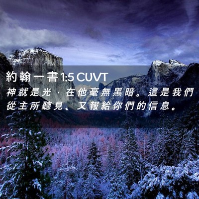 Picture 02 - 約 翰 一 書 1:5 CUVT - 神 就 是 光 ， 在 他 毫 無 黑 暗 。 - Bible Verse Picture
