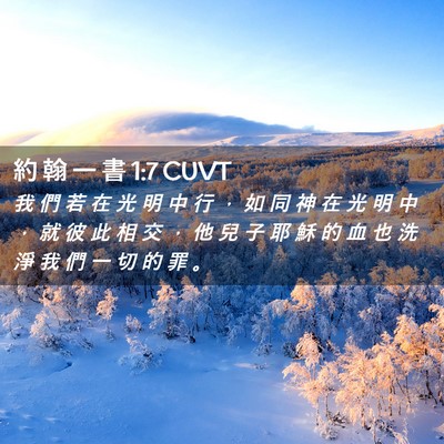 Picture 02 - 約 翰 一 書 1:7 CUVT - 我 們 若 在 光 明 中 行 ， 如 同 神 - Bible Verse Picture